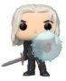 The Witcher