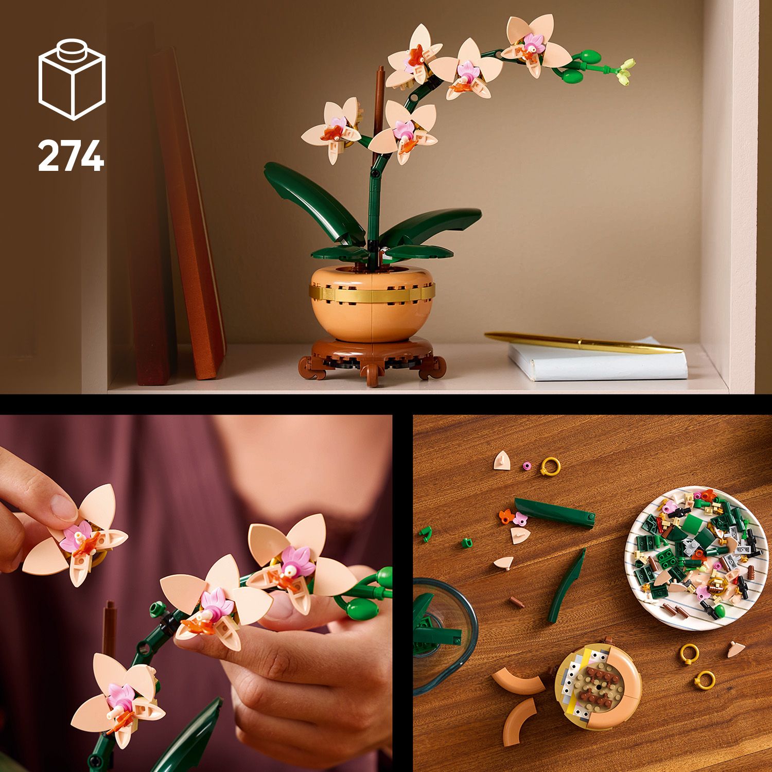 Projekt inspirovan&yacute; př&iacute;rodou