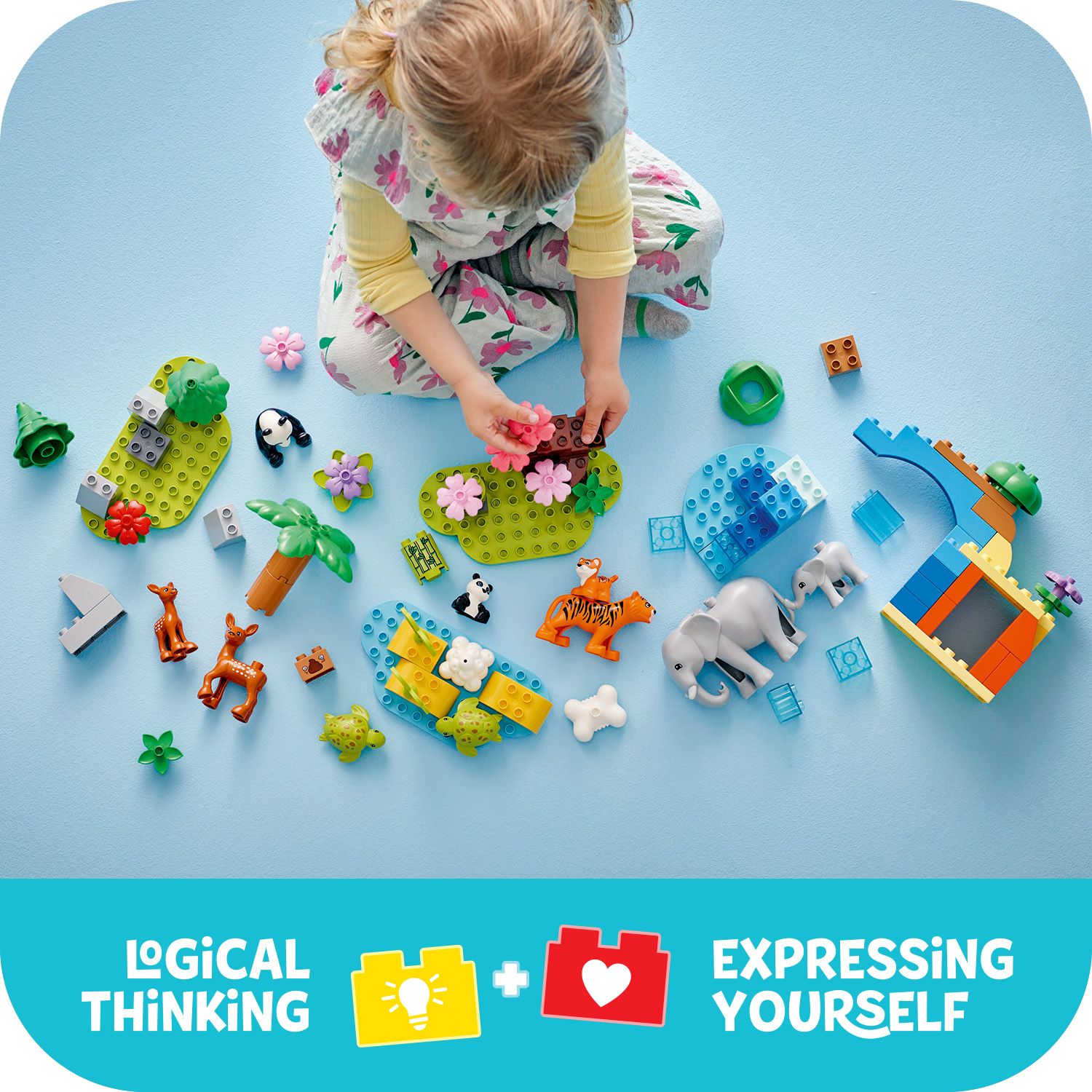 Stavebnice pro v&scaron;echny &uacute;rovně soustředěn&iacute;