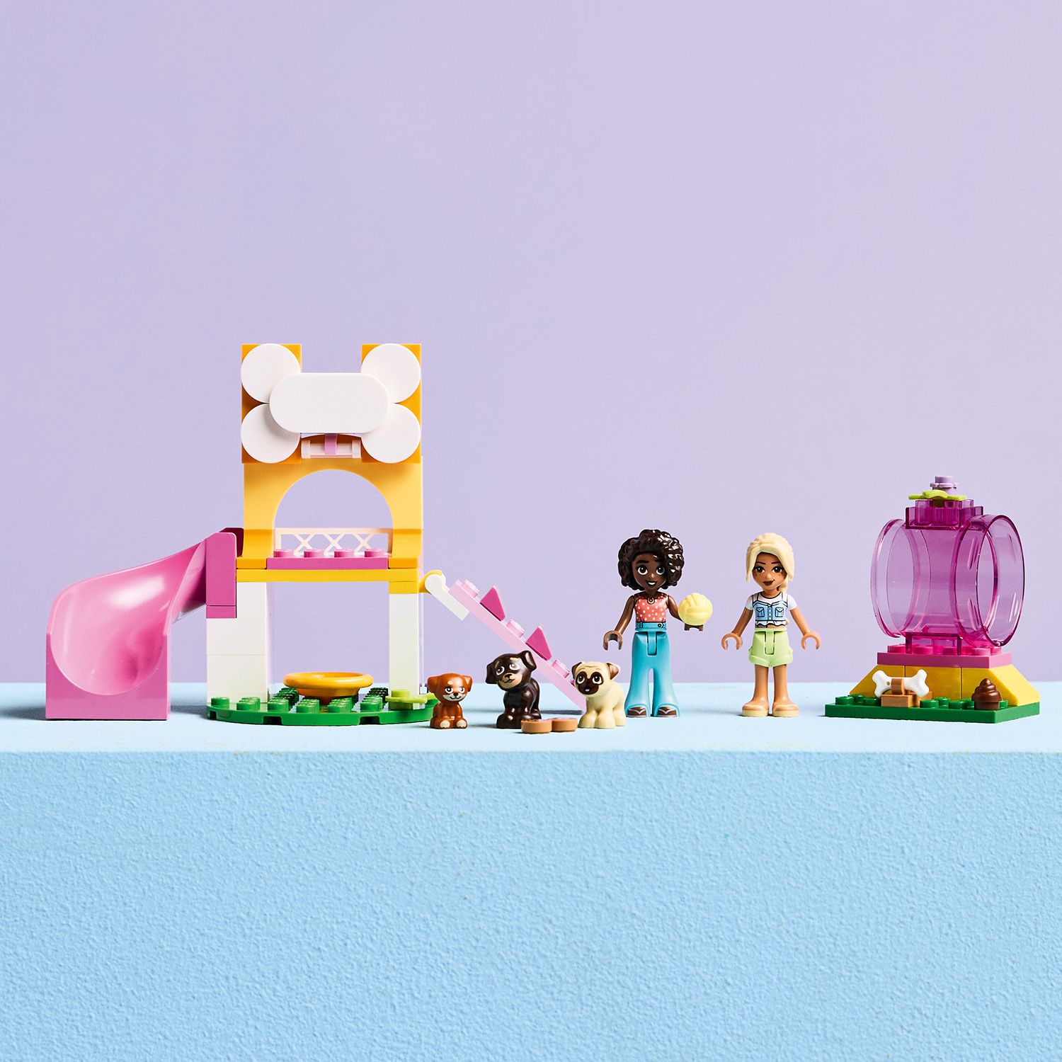 N&aacute;padit&yacute; d&aacute;rek pro milovn&iacute;ky psů