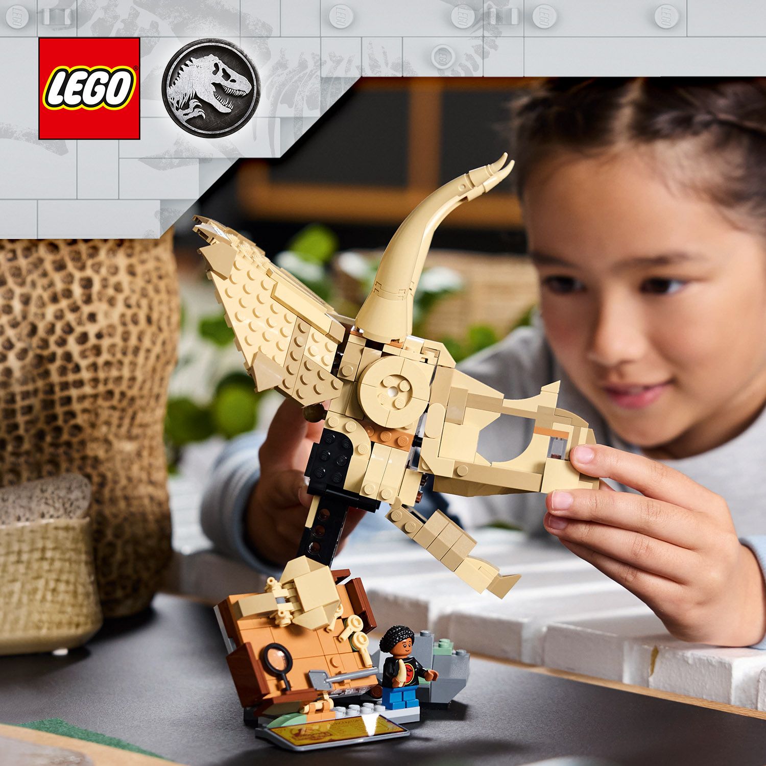 Dinosauř&iacute; fosilie LEGO&reg; Jurassic World